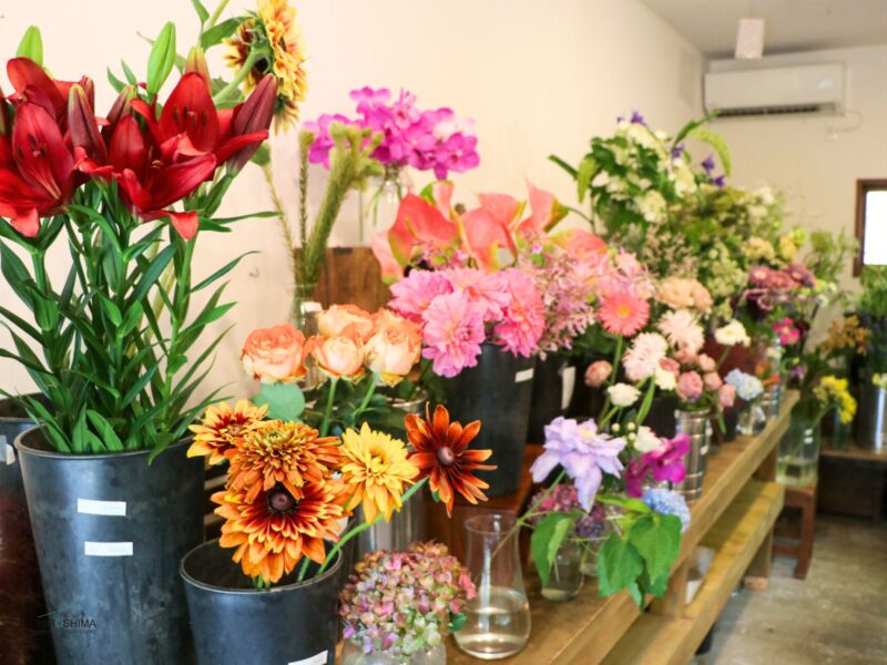 生花コーナー　フラフ